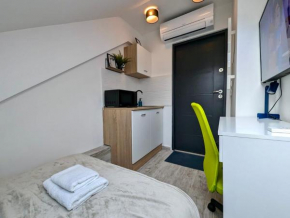 Tiny Downtown Apartment w Detached Private Bath